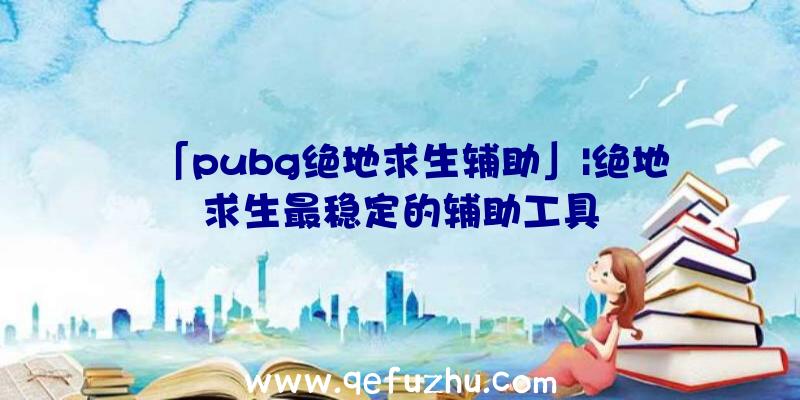 「pubg绝地求生辅助」|绝地求生最稳定的辅助工具